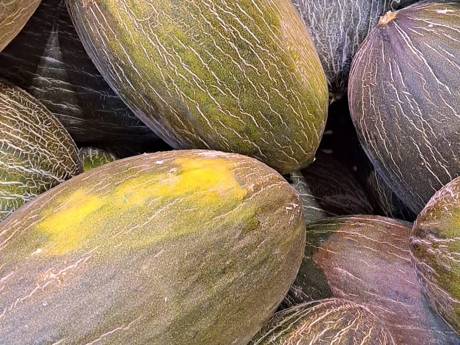 Melón