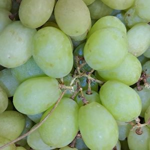 Uva blanca