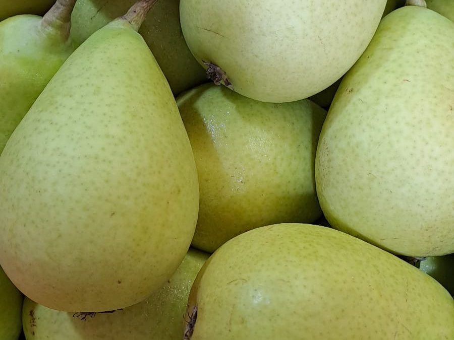 Pera Ercolina