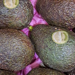 Aguacate