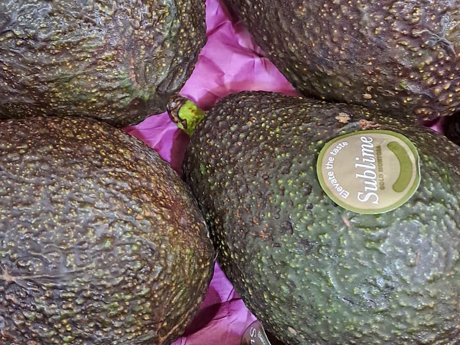 Aguacate