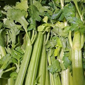 Apio Verde