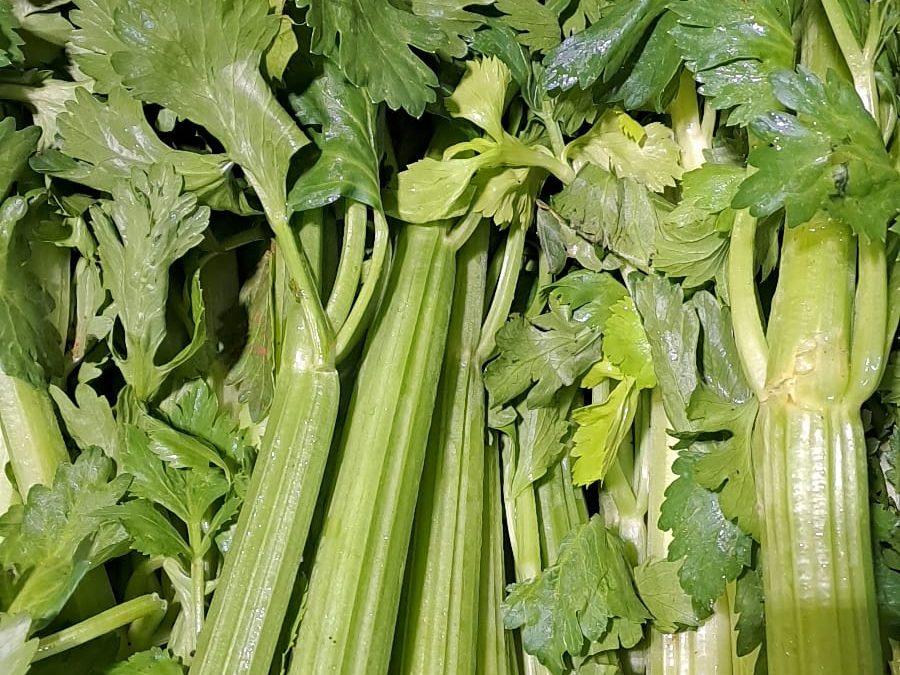 Apio Verde