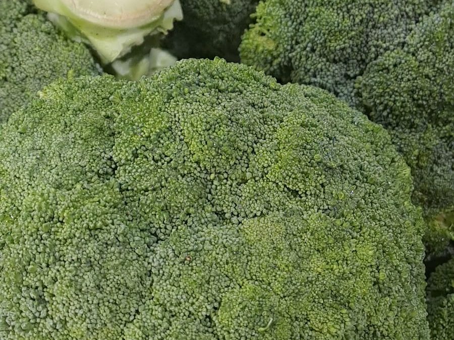 Brócoli