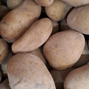 Patata de guisar