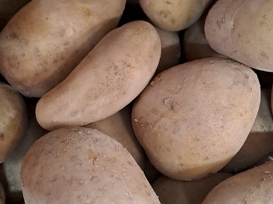 Patata de guisar
