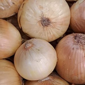 Cebolla Dulce