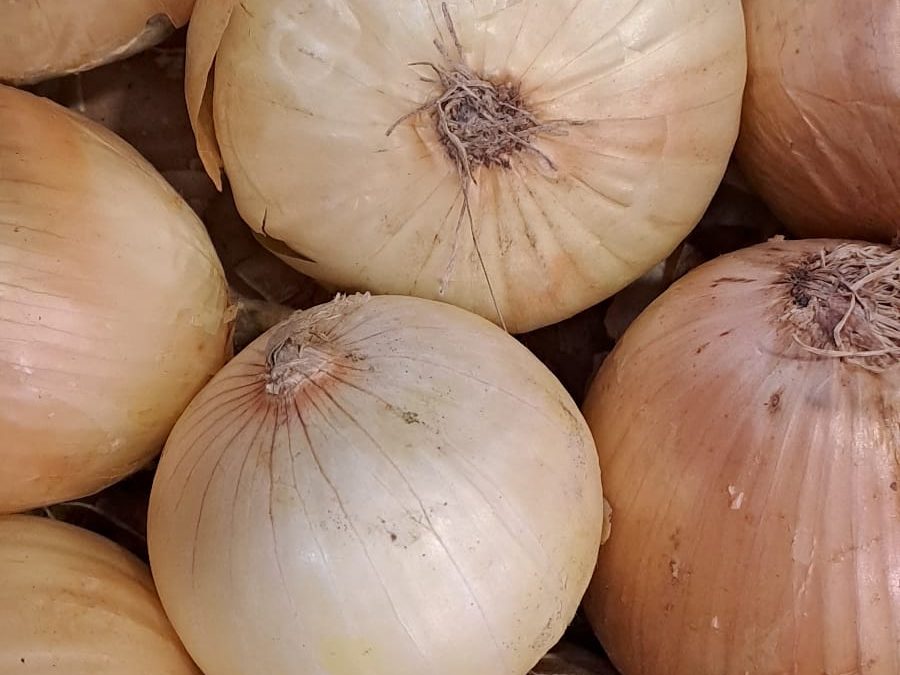 Cebolla Dulce
