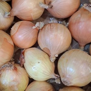 Cebolla seca