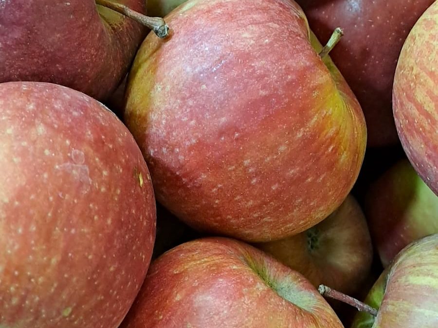 Manzana Fuji