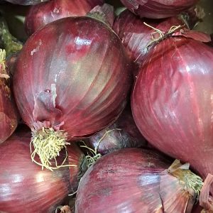 Cebolla morada