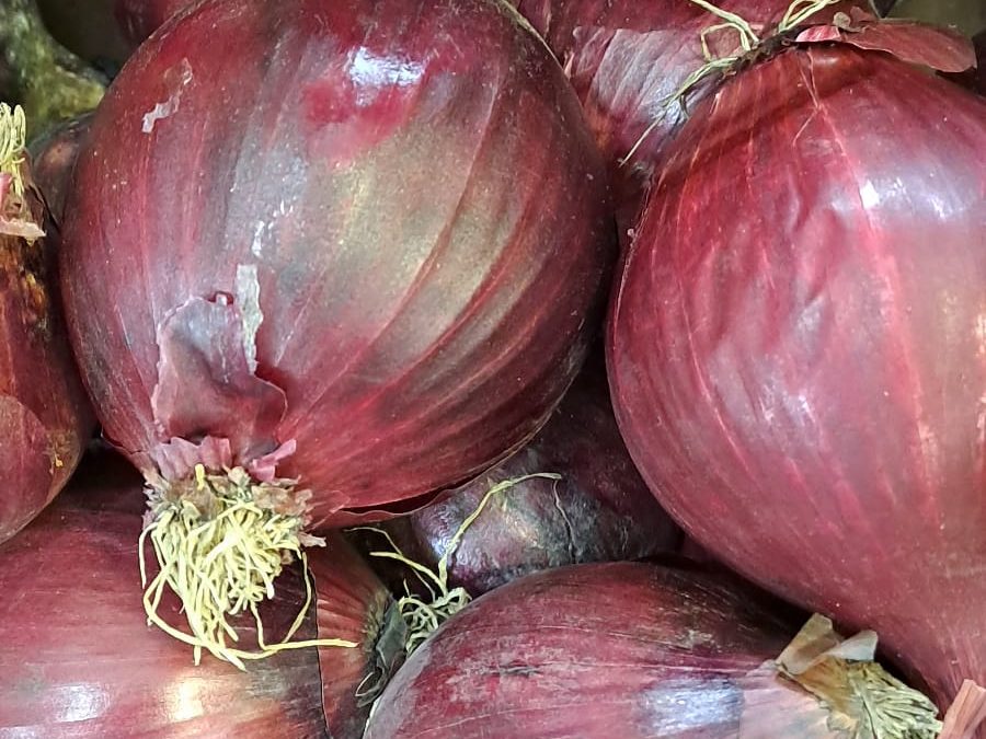 Cebolla morada