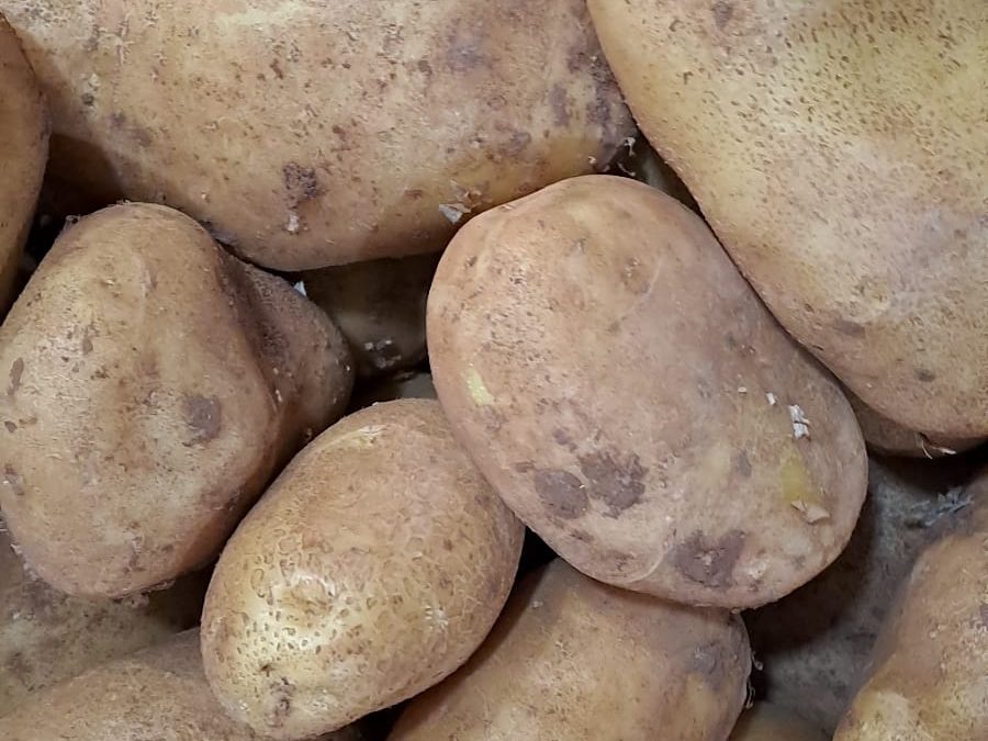 Patata agria
