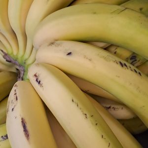 Plátano Canario
