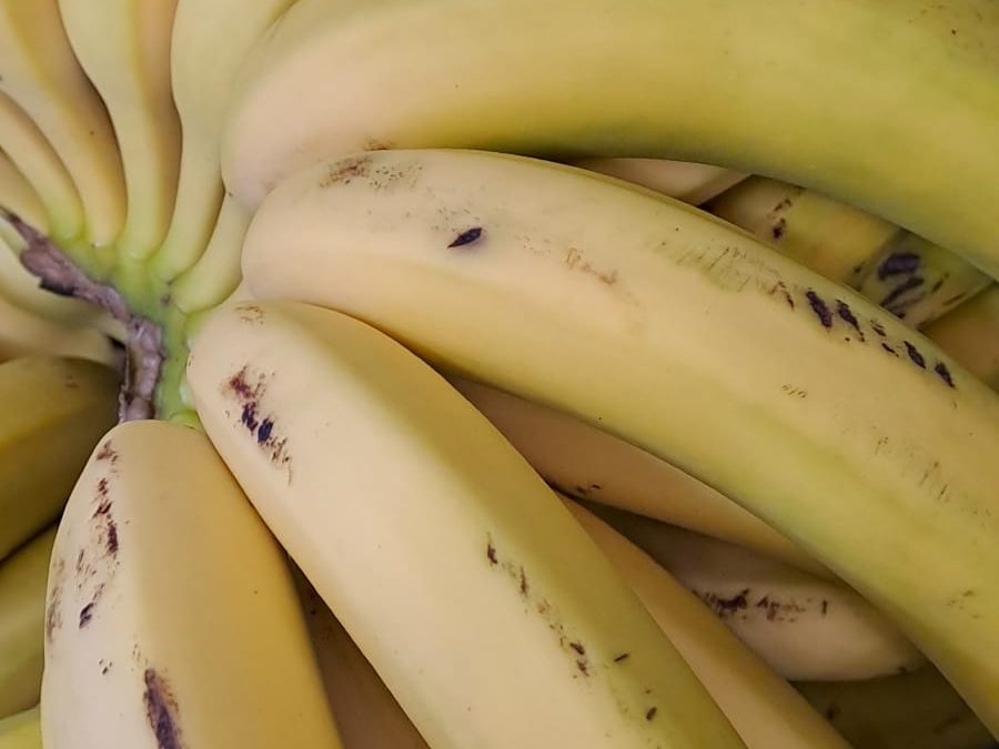 Plátano Canario