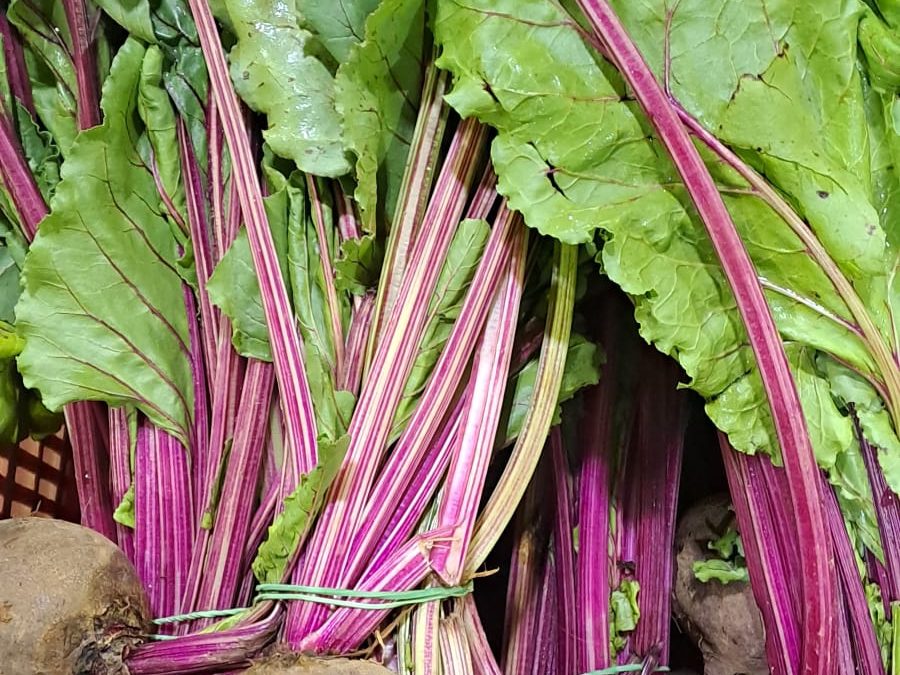 Remolacha Fresca