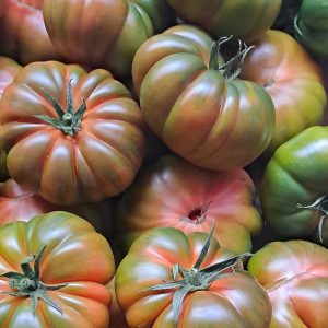 Tomate Raf Nacional