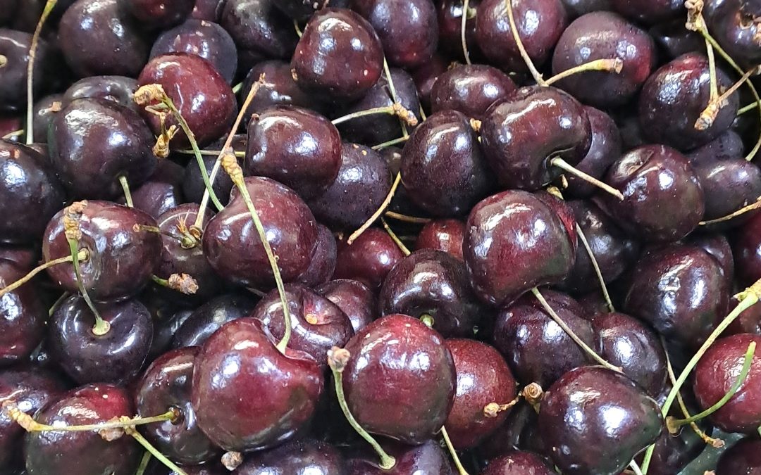 Cereza