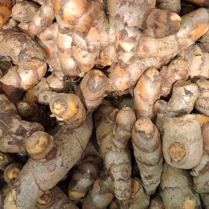Cúrcuma  Fresca Valenciana