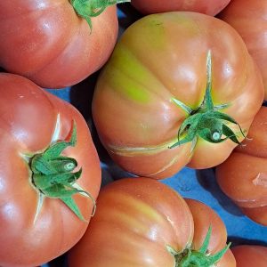 Tomate Rosa