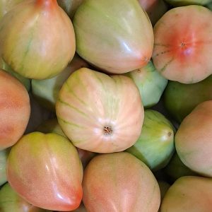 Tomate Valenciano