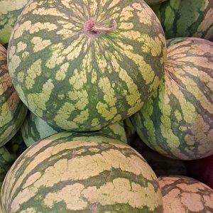 Sandia