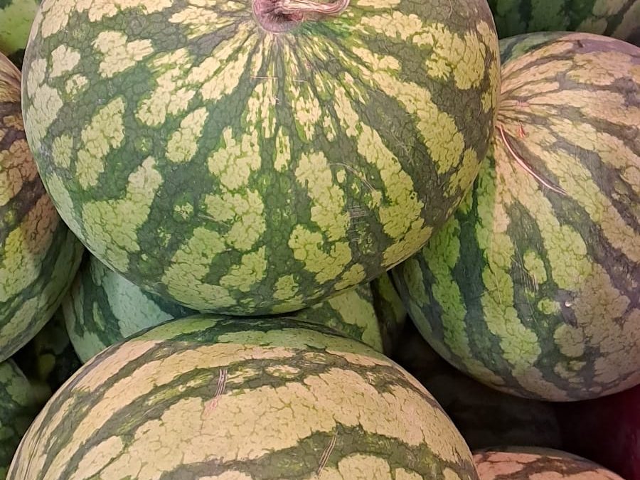 Sandia