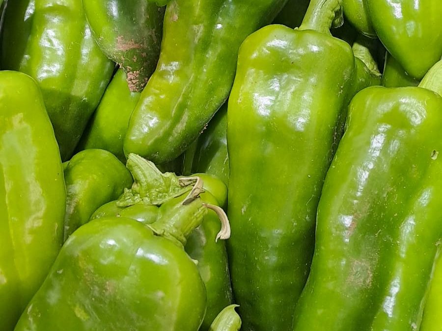 Pimiento Italiano