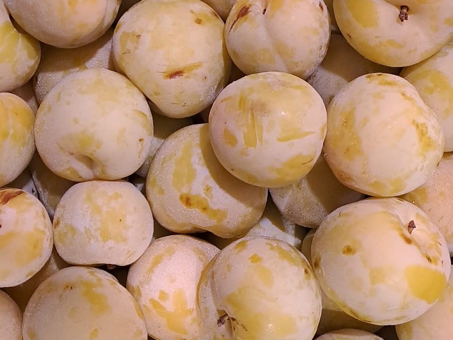 Ciruela Amarilla