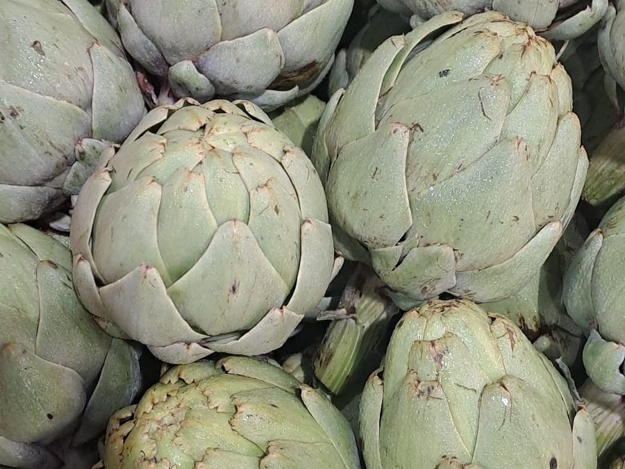 Alcachofa