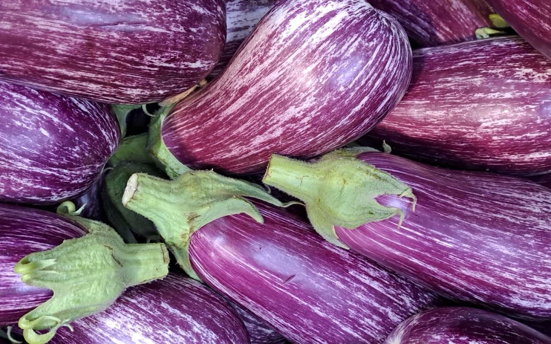 Berenjena Rayada