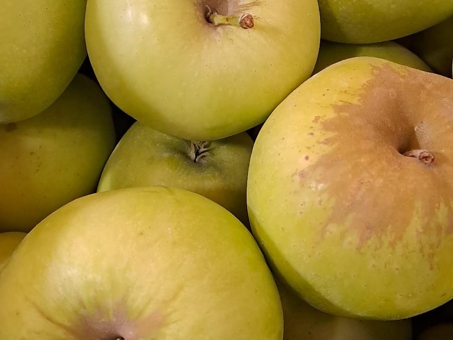 Manzana Golden