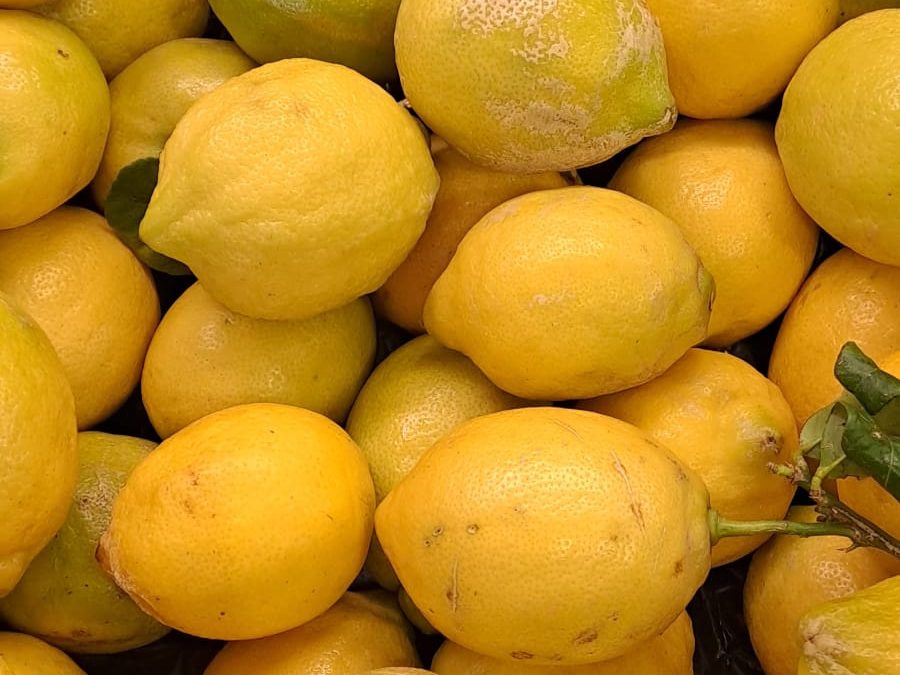 Limón