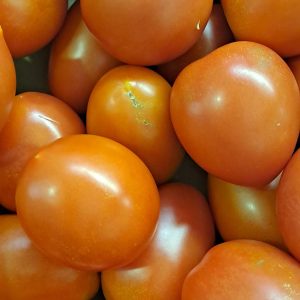 Tomate de Pera