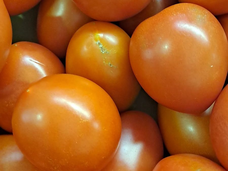 Tomate de Pera