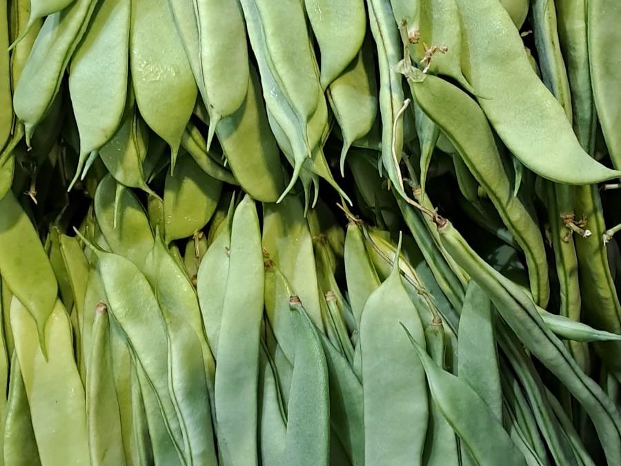 Bachoqueta Plana