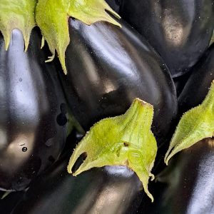 Berenjena Negra