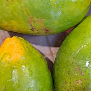 Papaya