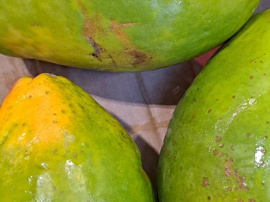 Papaya