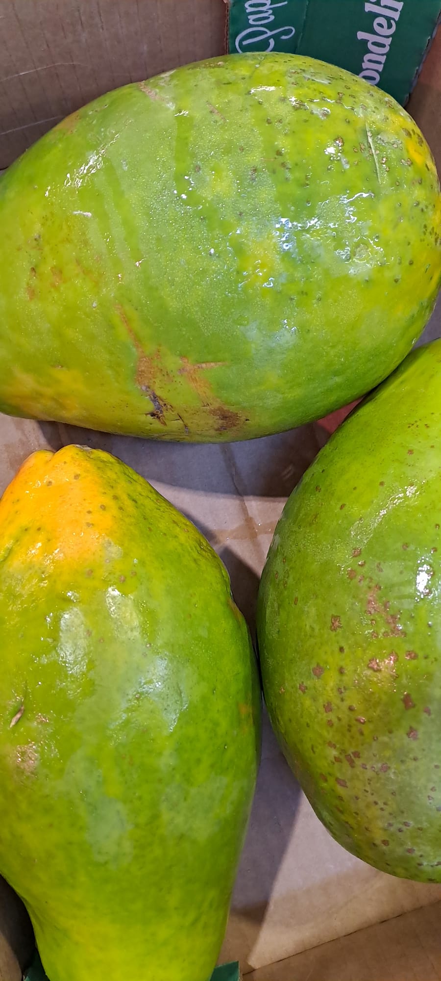 Papaya