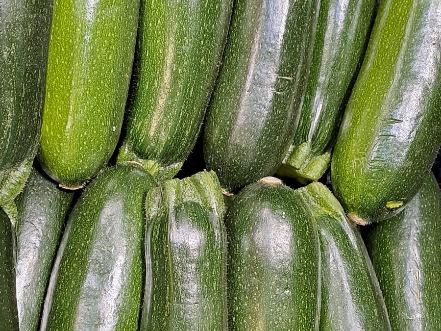 Calabacín