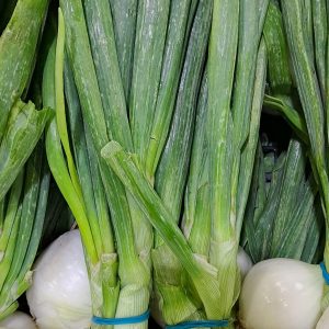 Cebolla Tierna