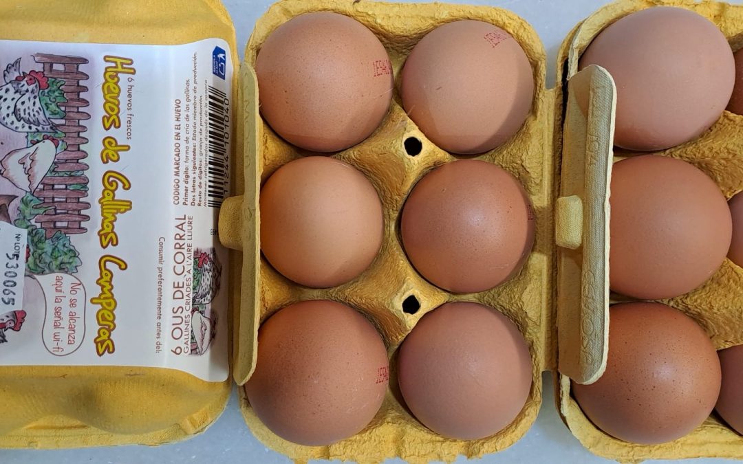 Huevos Camperos