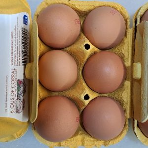 Huevos Camperos