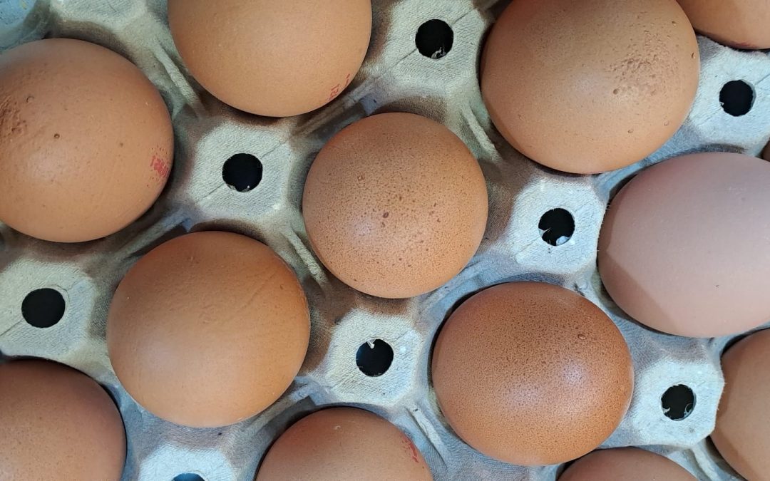 Huevos XXL