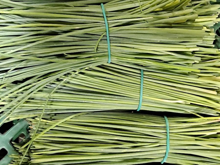Cebollino