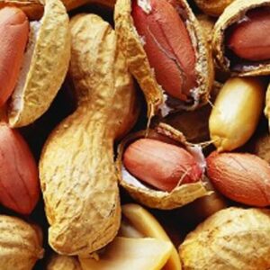 Cacao del collaret con Cáscara