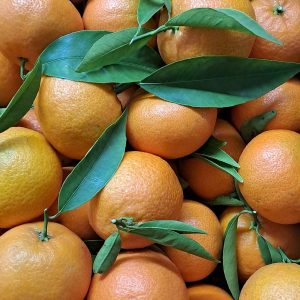 Mandarina Valenciana