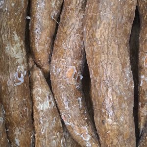 Yuca