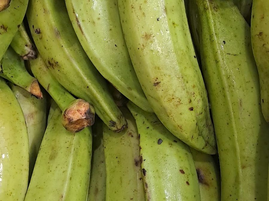 Plátano Macho Verde